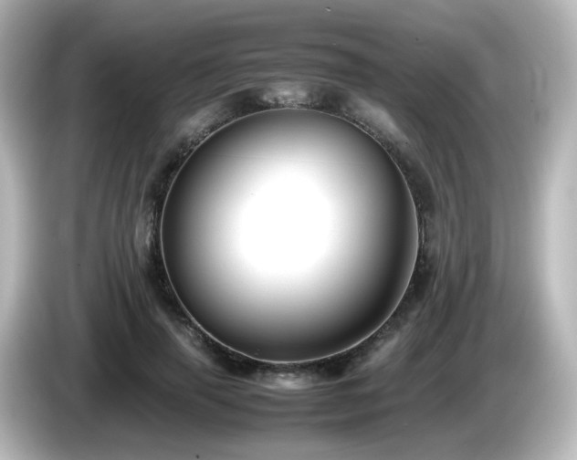 X0000085780645200703161207