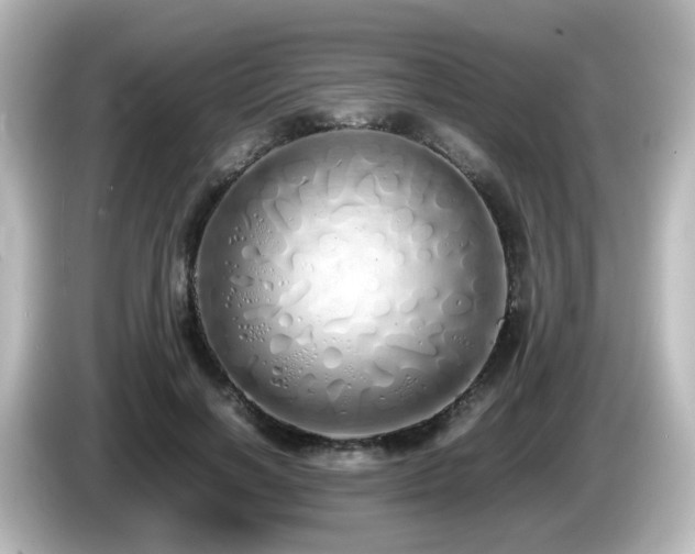 X0000085780646200703161207