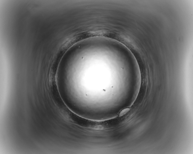 X0000085780647200703161207