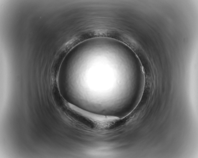 X0000085780648200703161207