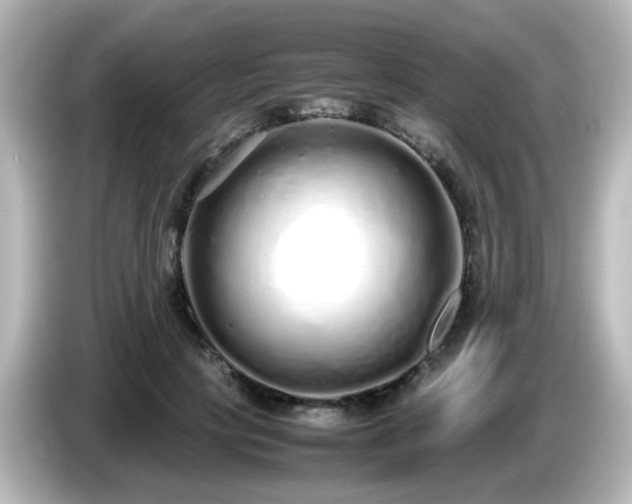 X0000085780649200703161207