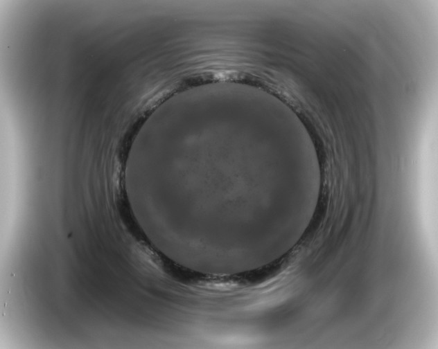 X0000085780650200703161207