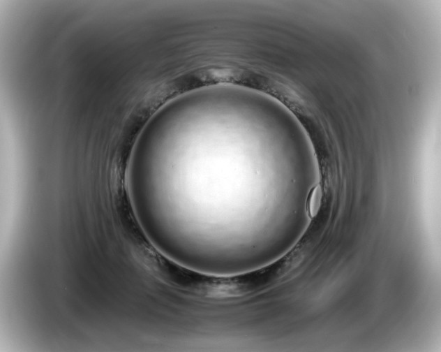 X0000085780651200703161207