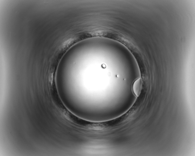 X0000085780652200703161207