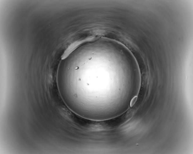 X0000085780655200703161207