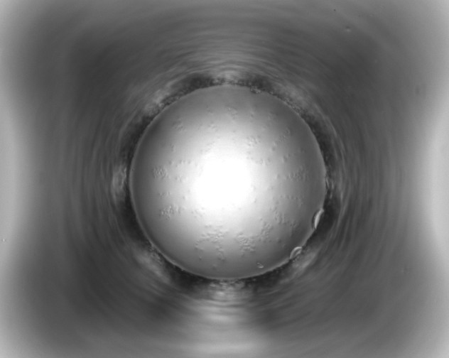 X0000085780660200703161208