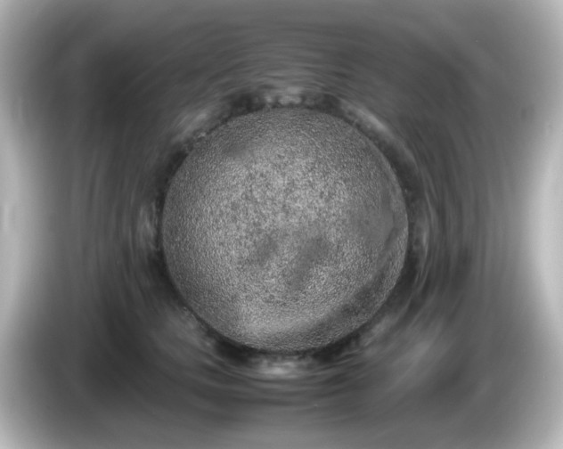 X0000085780661200703161208