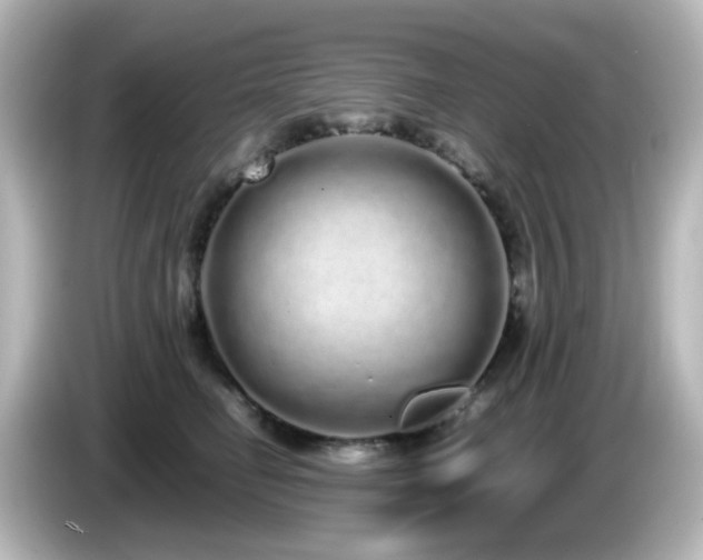 X0000085780662200703161208