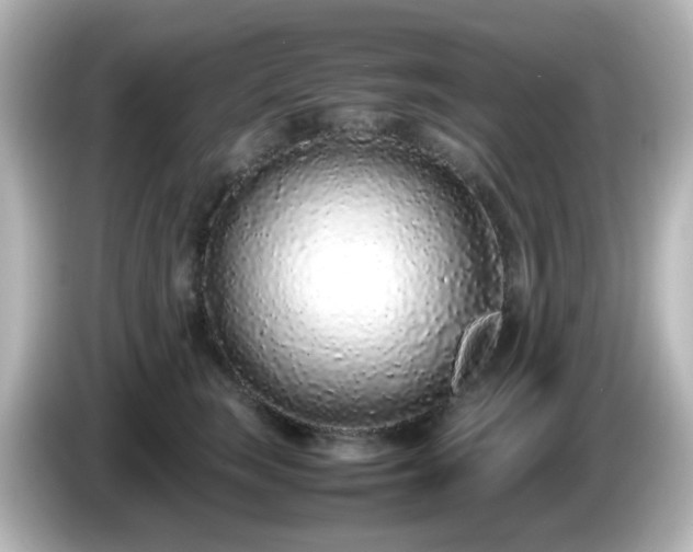 X0000085780663200703161208