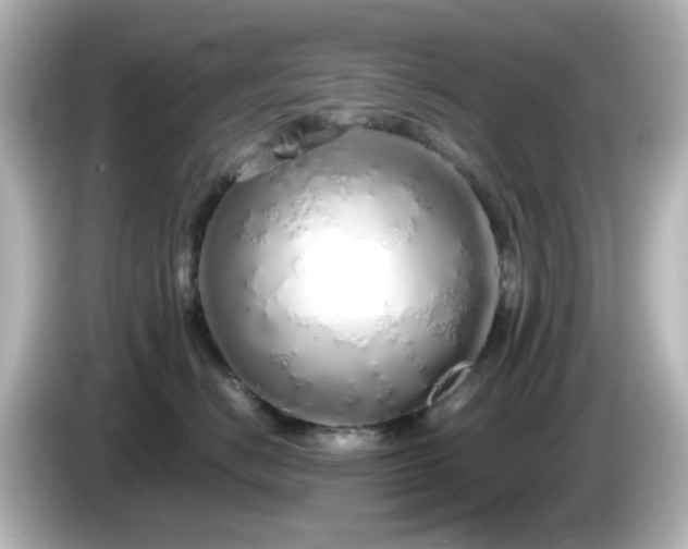 X0000085780670200703161208