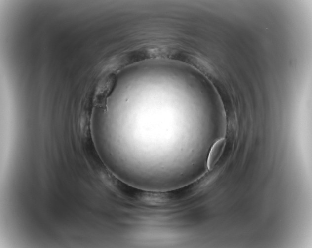 X0000085780671200703161208