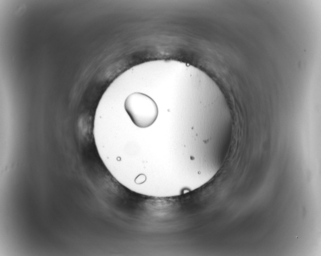 X0000085780672200703161208