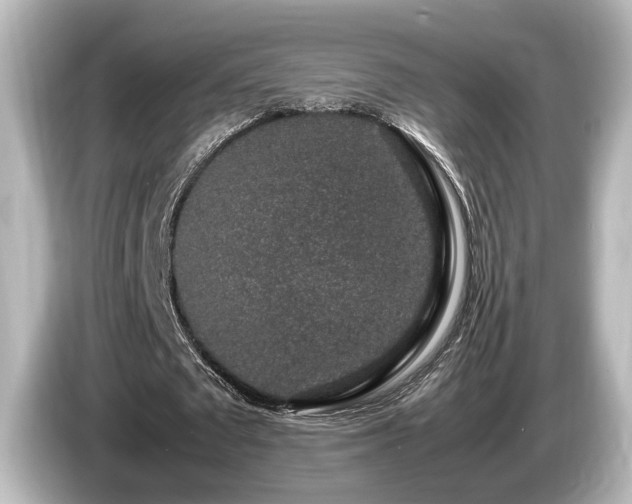 X0000085780673200703161207