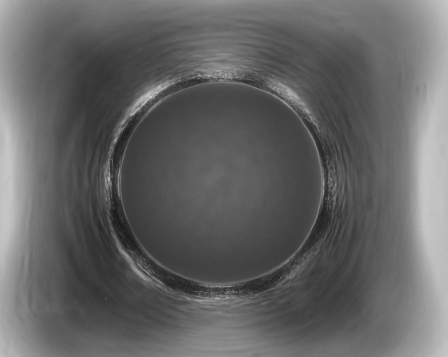 X0000085780674200703161207