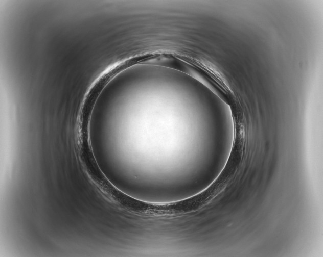 X0000085780676200703161207