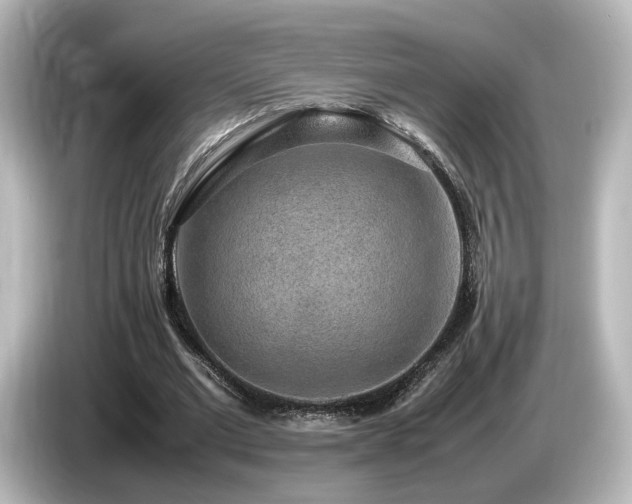 X0000085780677200703161207