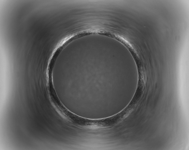 X0000085780678200703161207