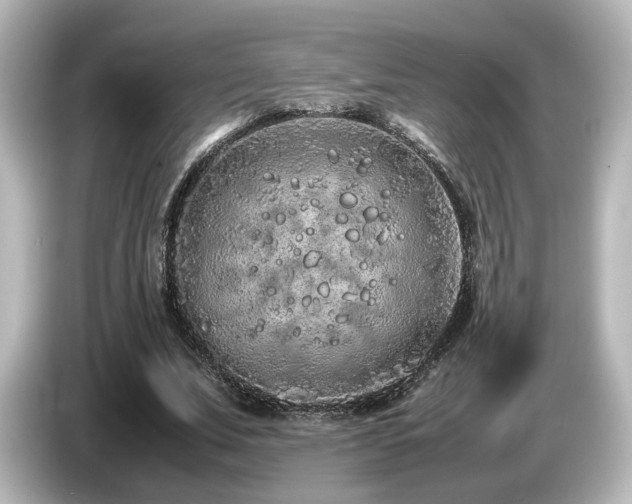 X0000085780679200703161207