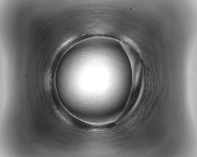 X0000085780680200703161207