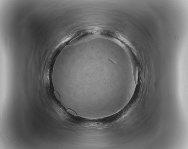 X0000085780681200703161207