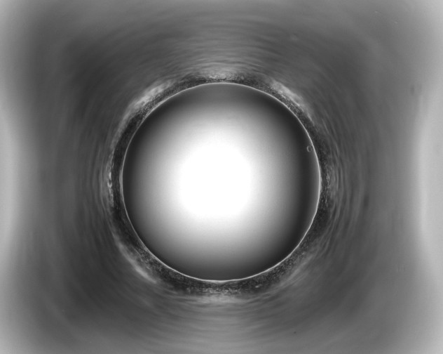 X0000085780682200703161207