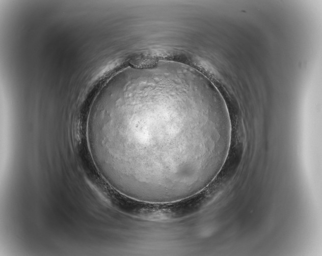 X0000085780683200703161207