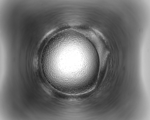 X0000085780684200703161207