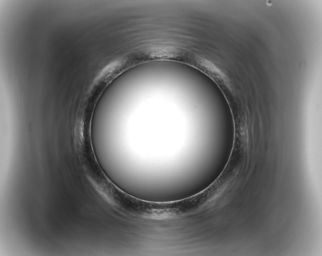 X0000085780686200703161207