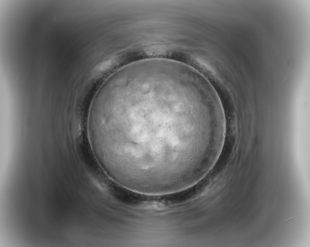 X0000085780687200703161207