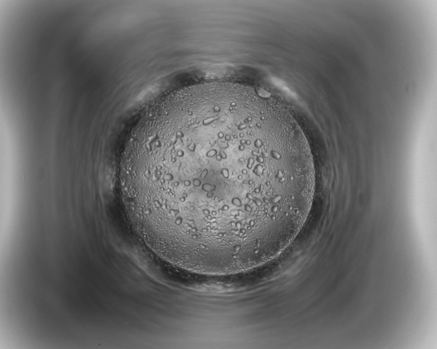 X0000085780691200703161207