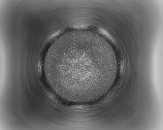 X0000085780692200703161207