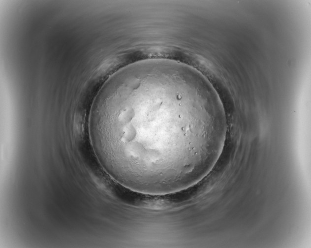 X0000085780695200703161207