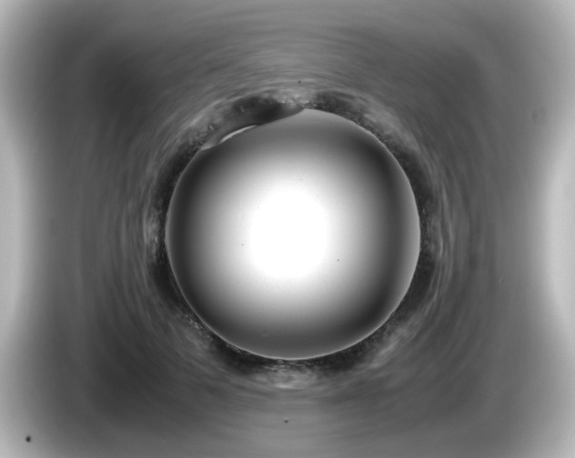 X0000085780697200703161207