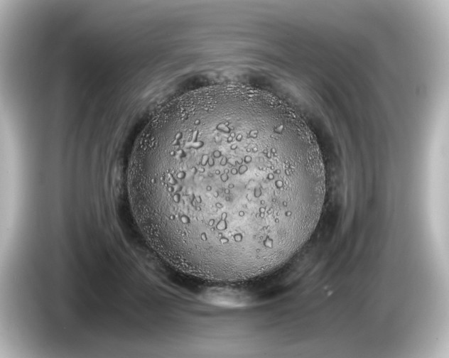 X0000085780699200703161207