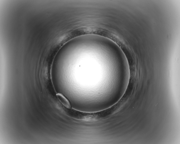 X0000085780700200703161207