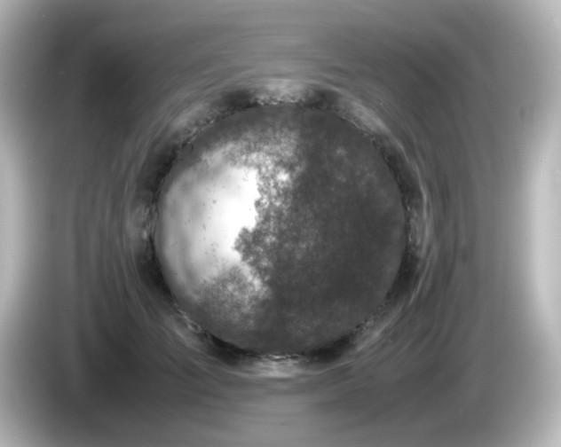 X0000085780701200703161207