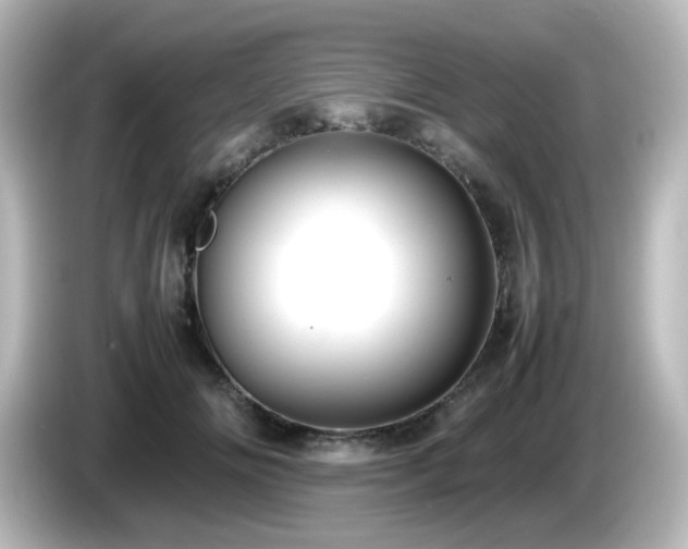 X0000085780702200703161207