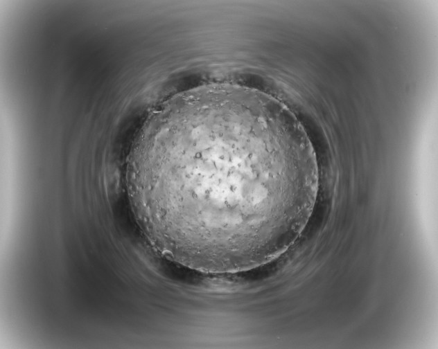 X0000085780703200703161207