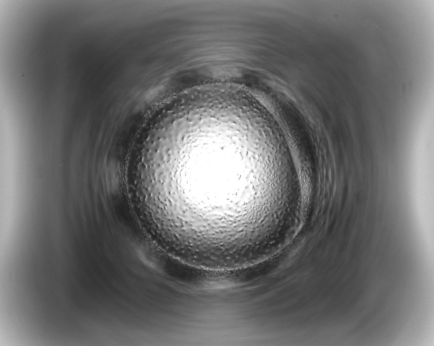 X0000085780704200703161207