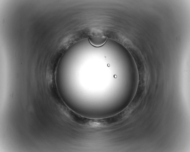 X0000085780706200703161207