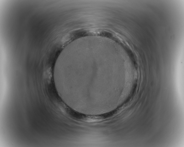 X0000085780707200703161207