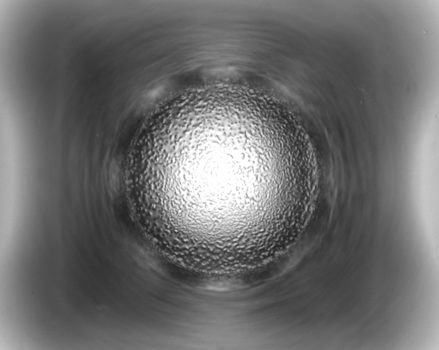 X0000085780708200703161207