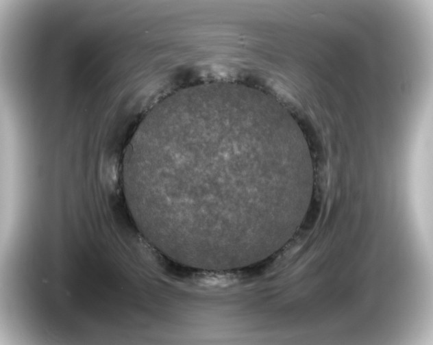 X0000085780709200703161207