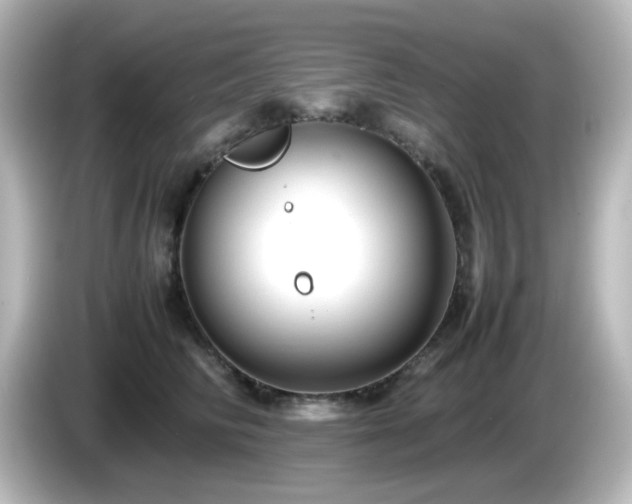 X0000085780710200703161207