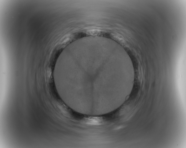 X0000085780711200703161206