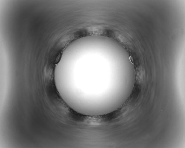 X0000085780713200703161206