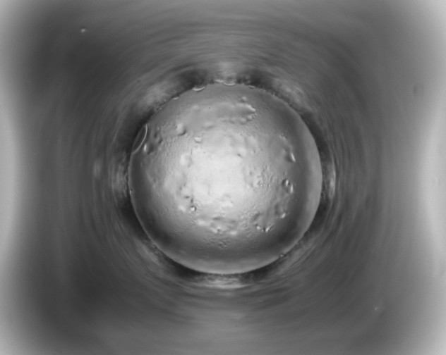 X0000085780719200703161206