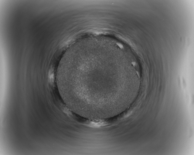 X0000085780720200703161206