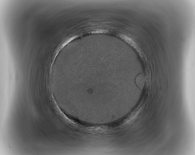 X0000085780721200703161206