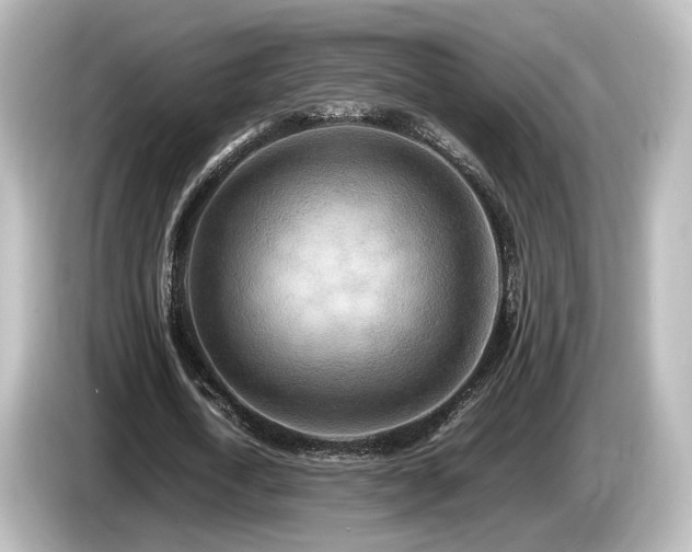 X0000085780722200703161206